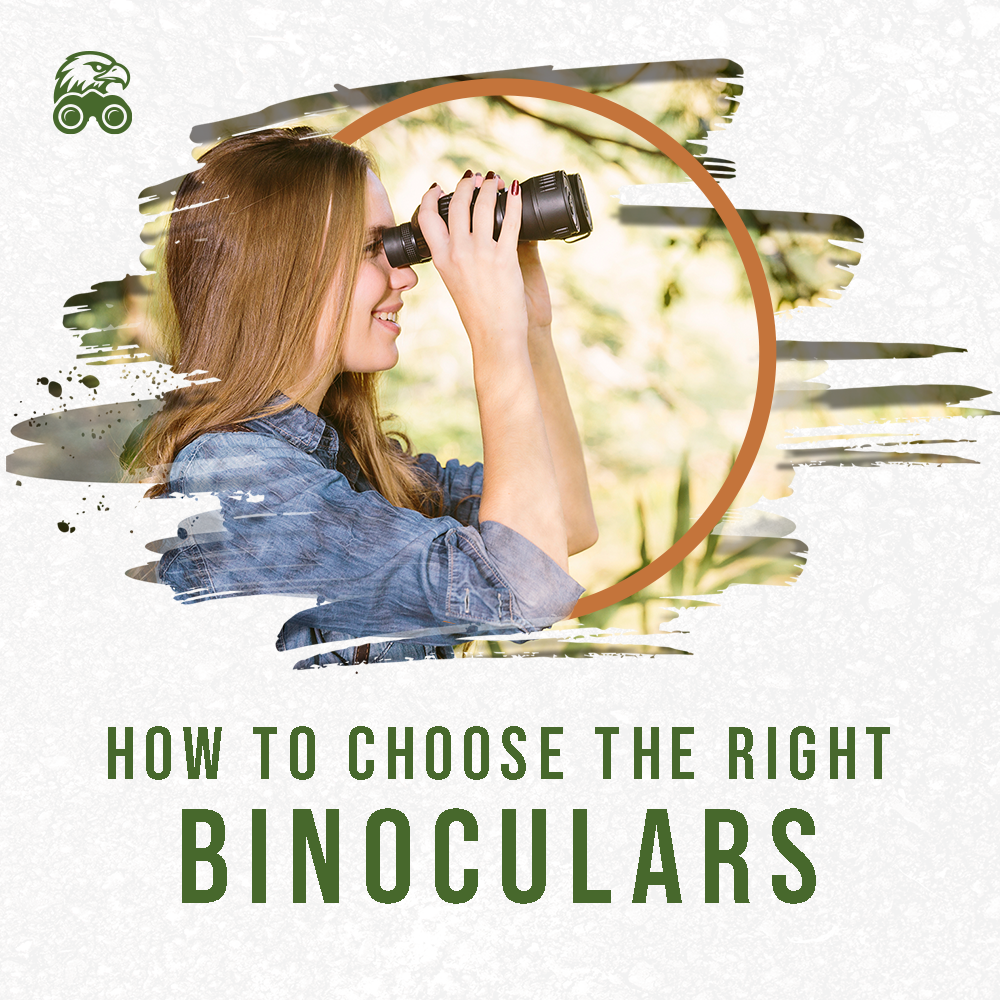 How To Choose The Right Binoculars